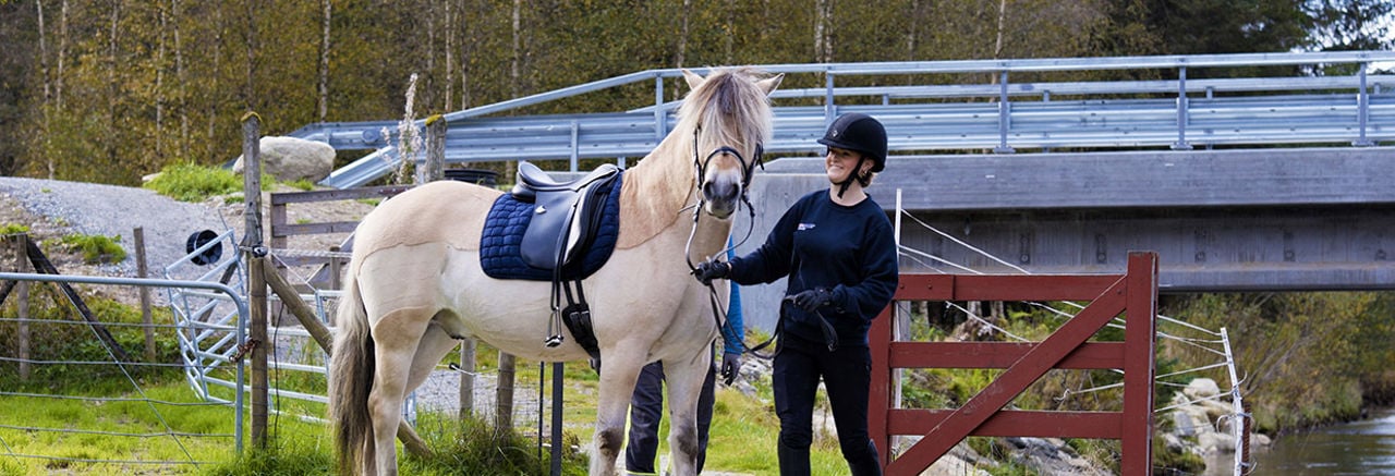 Bilete viser ni elevar som står oppstilt med matchande eplegrøne T-skjorter